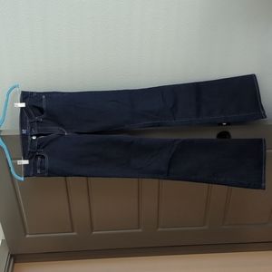 GAP 28 Regular Perfect Boot Jeans